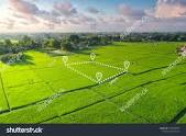 Green City Patna